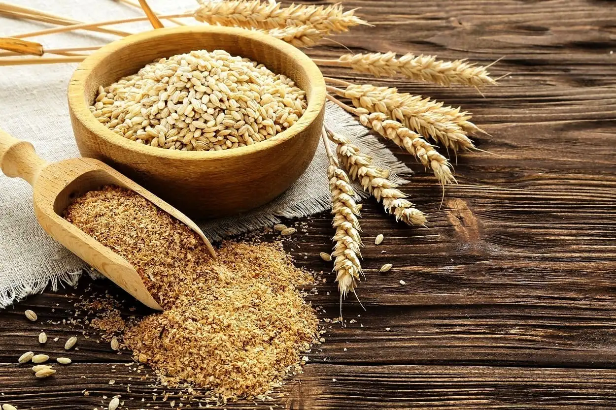 dukan diyeti yulaf kepeği