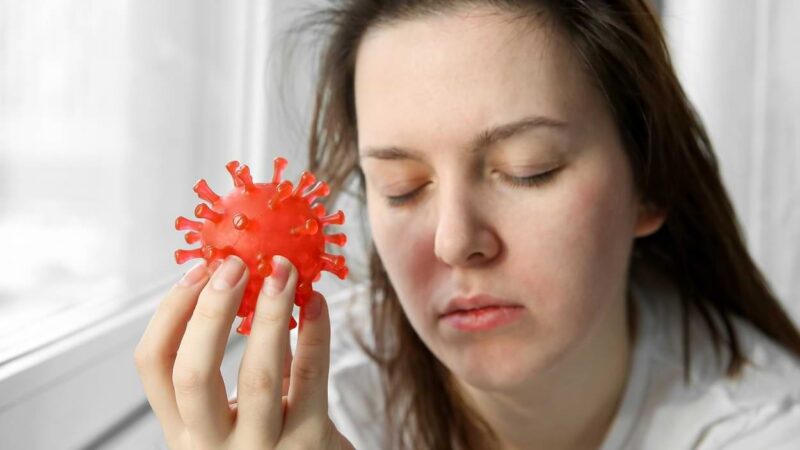 candida mantarı hastalığı