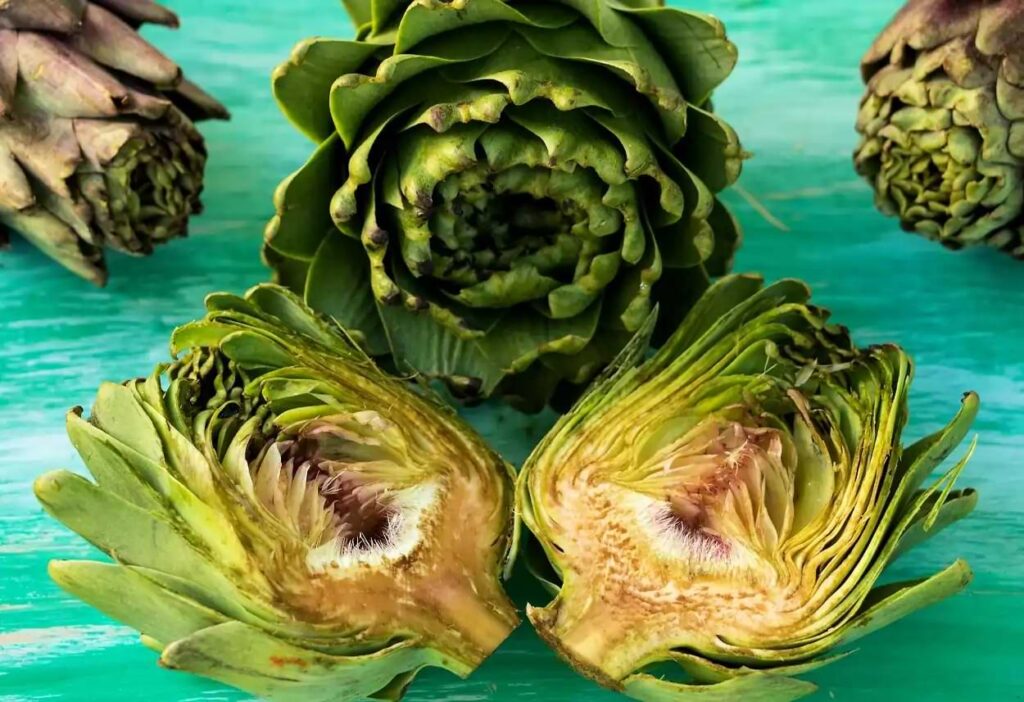 Enginarın Sağlığa Olan Faydaları Neler? 1 Enginarın Sağlığa Olan Faydaları Neler?
