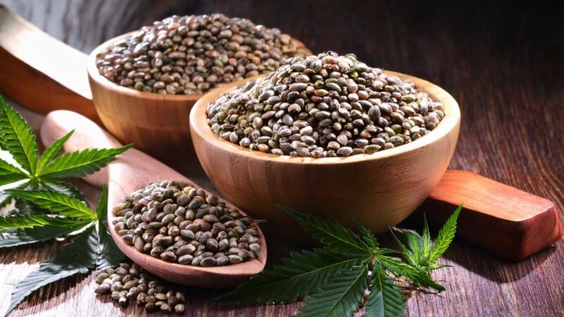 Kenevir Tohumu ve Yağının Faydaları