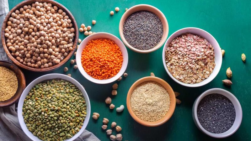 bitkisel protein kaynakları