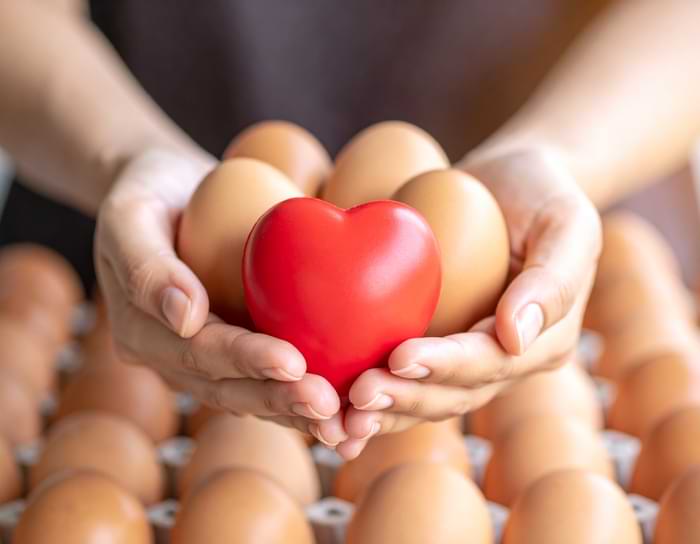 Her Gün Yumurta Yemek Kalp Sağlığına Zararlı mı